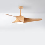 52" Downrod Ceiling Fans with Remote Control and LED Lights