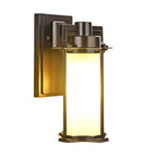 1-Light Glass Outdoor Wall Lantern Sconce