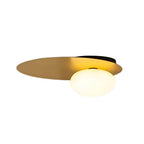 1-Light LED Oval Metal White Glass Flush Mount Ceiling Light