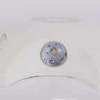 Flower Shaped LED Waterproof Nordic Wall Washer Lights