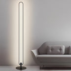 Modern Minimalist LED Standing Oval Floor Lamp