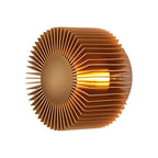 Round Sun Flowers LED Creative Decor Aluminum Modern Wall Light Fixture