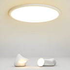 16'' Modern LED Geometric Circle Black Flush Mount Ceiling Lights with Black White Edge