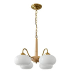 4 Lights 6 Ligths Glass Wood E27 LED Nordic Chandelier Hanging Ceiling Lights
