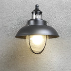 Nautical Black 1-Light Metal Cage Seeded Glass Outdoor Wall Light