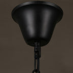 Clear Glass Pendant Lighting Retro Industrial Ceiling Light