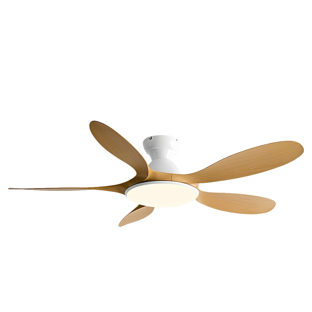 5 Blade Ceiling Fan with Light Abs Blades Metal Body Fan Light