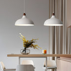 Round E27 12W White Nordic Pendant Light Hanging Lamp Chandelier