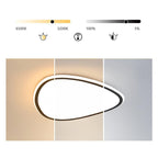 Nordic Geometric Reuleaux Triangle Modern Flush Mount Light with Remote Control
