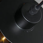 Retro Industrial Pendant Lights Vintage Black Iron Ceiling Light