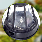 Resin Garden Solar Animal Lights