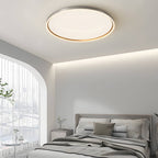Brushed Gray Aluminum LED Ceiling Light