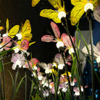 Six-Head Butterfly Solar Garden Lights