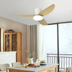 Ceiling Fan with Dimmer Light Modern Small 3-Blade and Remote Quiet