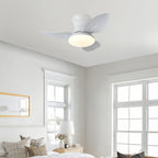 Ceiling Fan with Dimmer Light Modern Small 3-Blade and Remote Quiet