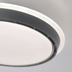 Ceiling Light with Hidden Fan French Retro Hardware Dimmable Fan Lamp