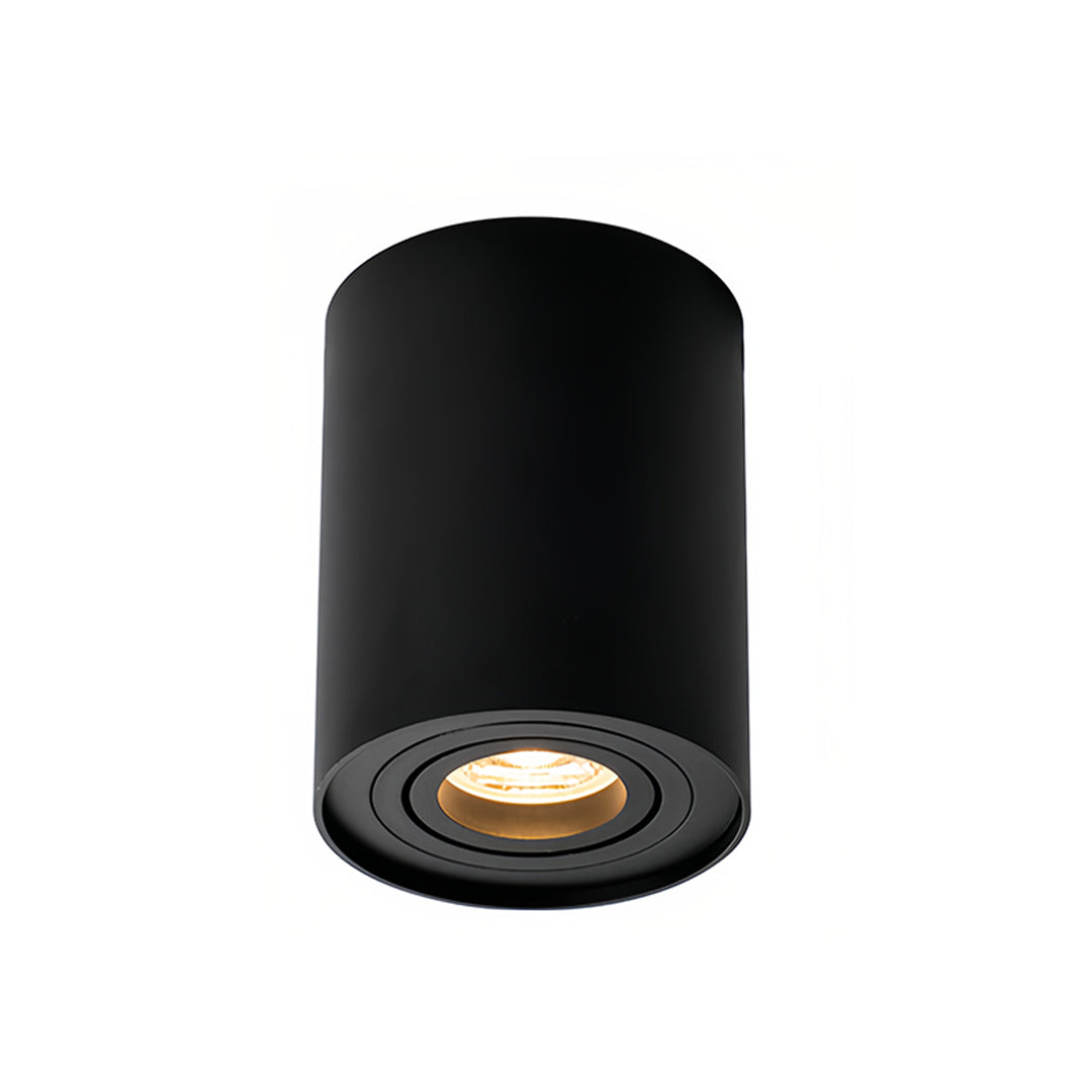 Surface Mounted Downlight Modern Cylindrical Black LED Ceiling Light