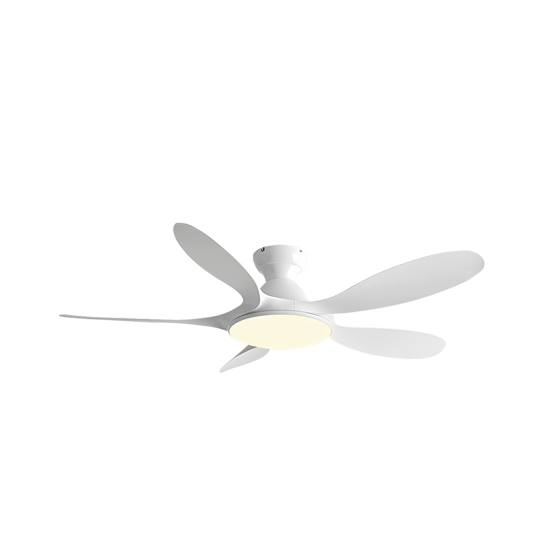 5 Blade Ceiling Fan with Light Abs Blades Metal Body Fan Light