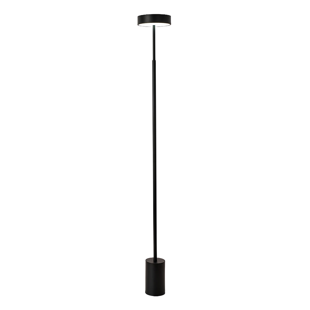 Petite Floor Lamp Modern Dimmable  Contemporary Reading Pole Lamps