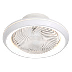 Modern Ceiling Fan with Lights Remote 3-Color Dimmable LED Ceiling Fan
