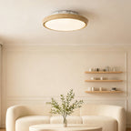 Ceiling Fan Modern with Light LED Simple Round Leafless Dimmable Lamp