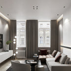 Directional Recessed Downlight Full-Spectrum LED Light