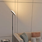 Uplight Floor Lamp Ambient Lighting Reading Downlight Floor Lamp