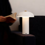 Dimmable LED Table Lamp Stylish Iron and Acrylic Ambience Light