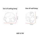 2-Light Globes Design LED Nordic Flush Mount Ceiling Light Ceiling Lamp