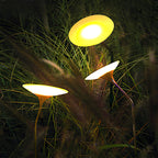 Glowing Mushroom Garden Light Smart Creative Modern Lights