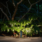 Waterproof LED Outdoor Spotlight Lamp Minimalist Style
