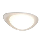 Pebble Ceiling Light Full Spectrum LED Flush Mount Fixture