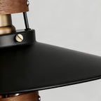 Vintage Hanging Pendant Lights Industrial Black Iron ceiling lights