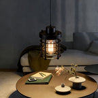 Industrial Cage Pendant Light 1-Light Metal Ceiling Light