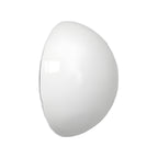 Outdoor Lighting Wall Mounted Waterproof Semi-Spherical Glass Light
