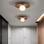 LED Ceiling Light Wood Grain Nordic Minimalist Light