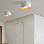 LED Ceiling Light Wood Grain Nordic Minimalist Light