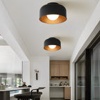 LED Ceiling Light Wood Grain Nordic Minimalist Light