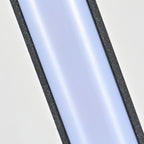 Contemporary Outdoor Floor Lamps Waterproof LED Linear Lamp
