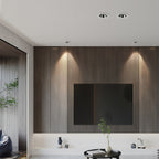 Directional Recessed Downlight Full-Spectrum LED Light