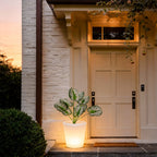 Luminous Flower Pots Modern Waterproof LED Colorful Light