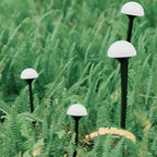 Garden Lights Landscape Outdoor Waterproof Lights
