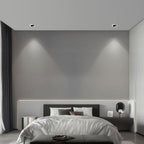 Directional Recessed Downlight Full-Spectrum LED Light