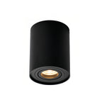 Surface Mounted Downlight Modern Cylindrical Black LED Ceiling Light