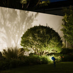 LED Tree Spike Light Outdoor low voltage waterproof spotlights