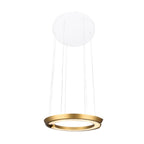Modern LED Ring-Shaped Pendant Light with Acrylic Shades for Living Room