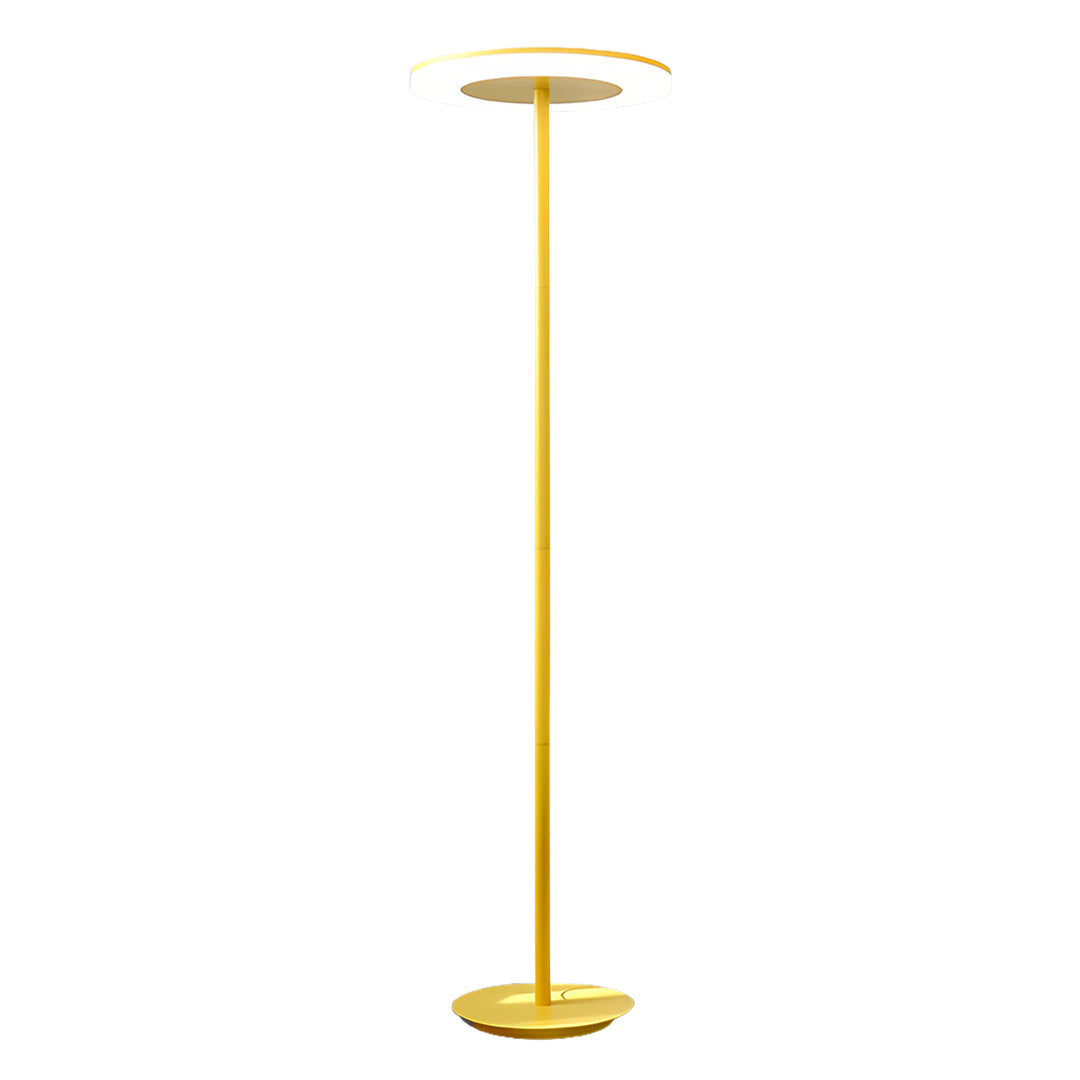 Colored Floor Lamp Modern Macaron Round Head Dimmable Standing Lamp