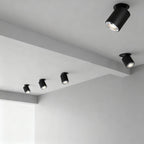 Adjustable Spotlight Anti-Glare 360° Rotating Deep Baffle LED Light