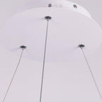 Interweaving Curved Decor Dimmable LED Adjustable Modern Pendant Lighting