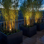 [Open-Box]Outdoor Waterproof LED Spotlight Tree Lights Landscape Lighting for Courtyard Lawn